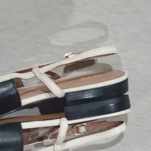 Paolo Black and White Pointed Flats - Picture 7 of 9